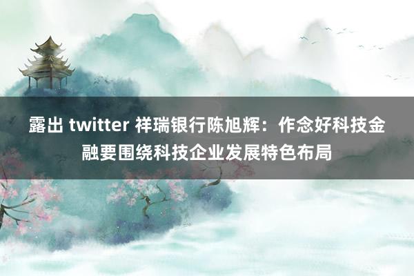 露出 twitter 祥瑞银行陈旭辉：作念好科技金融要围绕科技企业发展特色布局