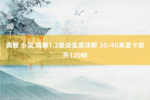 调教 小说 鸣潮1.2版块实质详解 30/40系显卡能开120帧