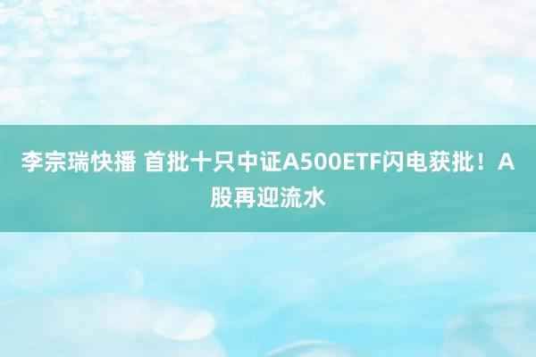 李宗瑞快播 首批十只中证A500ETF闪电获批！A股再迎流水