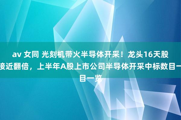 av 女同 光刻机带火半导体开采！龙头16天股价接近翻倍，上半年A股上市公司半导体开采中标数目一览