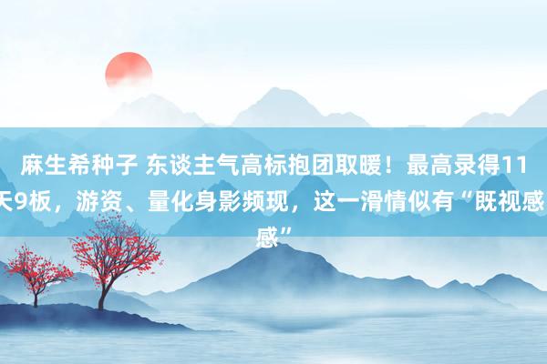 麻生希种子 东谈主气高标抱团取暖！最高录得11天9板，游资、量化身影频现，这一滑情似有“既视感”