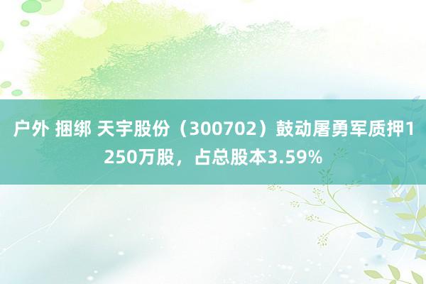 户外 捆绑 天宇股份（300702）鼓动屠勇军质押1250万股，占总股本3.59%