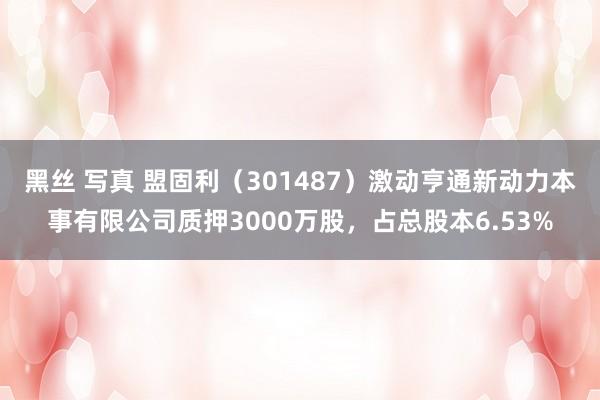 黑丝 写真 盟固利（301487）激动亨通新动力本事有限公司质押3000万股，占总股本6.53%