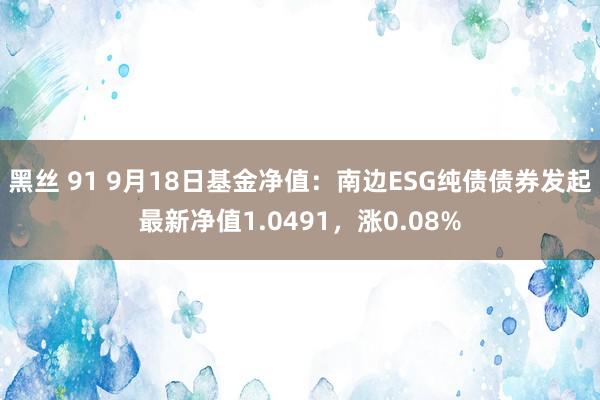 黑丝 91 9月18日基金净值：南边ESG纯债债券发起最新净值1.0491，涨0.08%