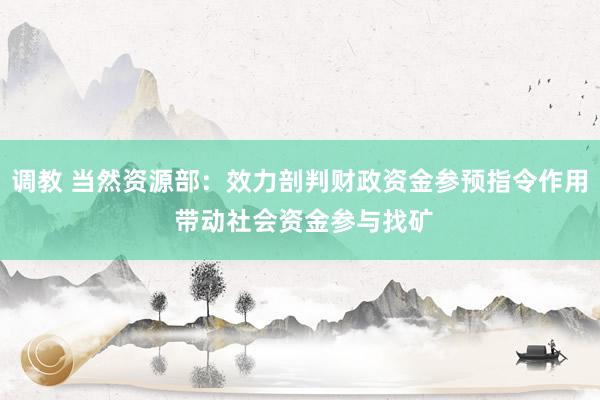 调教 当然资源部：效力剖判财政资金参预指令作用 带动社会资金参与找矿