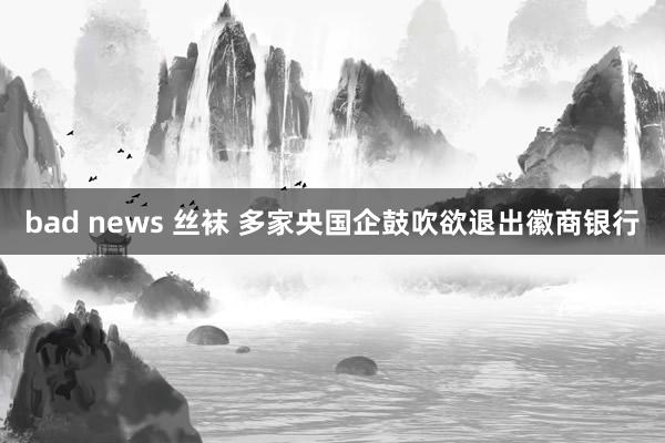 bad news 丝袜 多家央国企鼓吹欲退出徽商银行