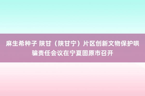 麻生希种子 陕甘（陕甘宁）片区创新文物保护哄骗责任会议在宁夏固原市召开