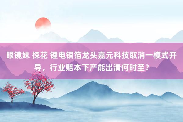 眼镜妹 探花 锂电铜箔龙头嘉元科技取消一模式开导，行业赔本下产能出清何时至？