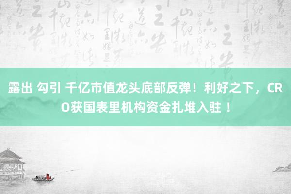 露出 勾引 千亿市值龙头底部反弹！利好之下，CRO获国表里机构资金扎堆入驻 ！