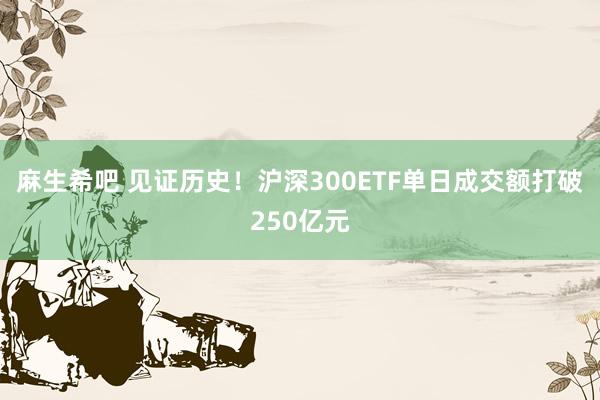 麻生希吧 见证历史！沪深300ETF单日成交额打破250亿元