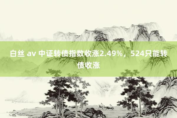 白丝 av 中证转债指数收涨2.49%，524只能转债收涨