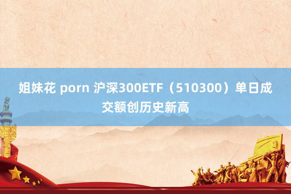 姐妹花 porn 沪深300ETF（510300）单日成交额创历史新高