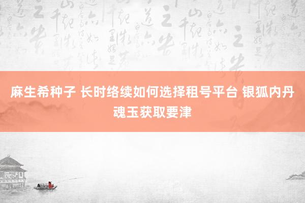 麻生希种子 长时络续如何选择租号平台 银狐内丹魂玉获取要津