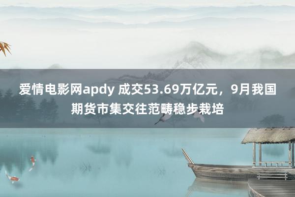 爱情电影网apdy 成交53.69万亿元，9月我国期货市集交往范畴稳步栽培