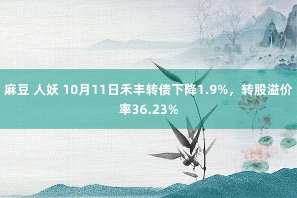 麻豆 人妖 10月11日禾丰转债下降1.9%，转股溢价率36.23%