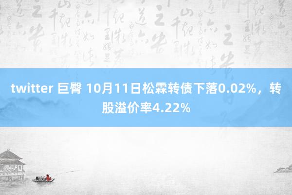 twitter 巨臀 10月11日松霖转债下落0.02%，转股溢价率4.22%