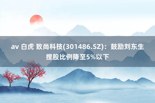 av 白虎 致尚科技(301486.SZ)：鼓励刘东生捏股比例降至5%以下