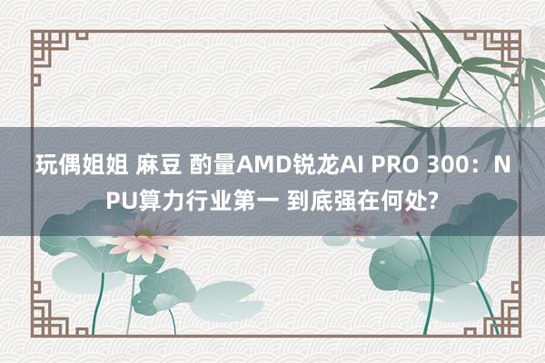 玩偶姐姐 麻豆 酌量AMD锐龙AI PRO 300：NPU算力行业第一 到底强在何处?