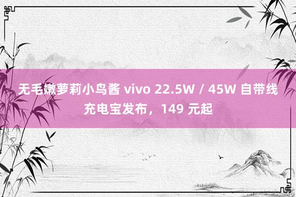 无毛嫩萝莉小鸟酱 vivo 22.5W / 45W 自带线充电宝发布，149 元起