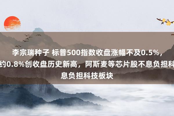 李宗瑞种子 标普500指数收盘涨幅不及0.5%，谈指涨约0.8%创收盘历史新高，阿斯麦等芯片股不息负担科技板块