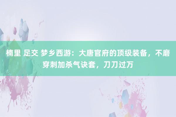 楠里 足交 梦乡西游：大唐官府的顶级装备，不磨穿刺加杀气诀套，刀刀过万