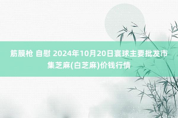 筋膜枪 自慰 2024年10月20日寰球主要批发市集芝麻(白芝麻)价钱行情