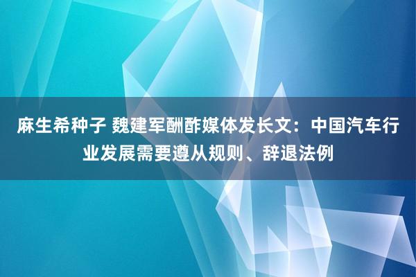 麻生希种子 魏建军酬酢媒体发长文：中国汽车行业发展需要遵从规则、辞退法例