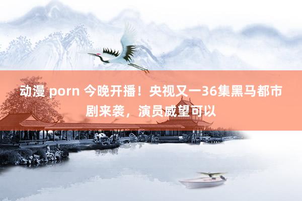 动漫 porn 今晚开播！央视又一36集黑马都市剧来袭，演员威望可以