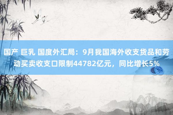 国产 巨乳 国度外汇局：9月我国海外收支货品和劳动买卖收支口限制44782亿元，同比增长5%