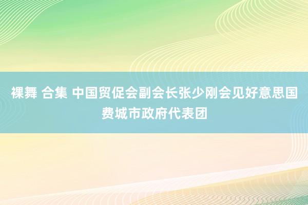 裸舞 合集 中国贸促会副会长张少刚会见好意思国费城市政府代表团