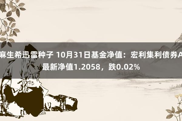 麻生希迅雷种子 10月31日基金净值：宏利集利债券A最新净值1.2058，跌0.02%