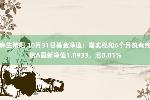 麻生希吧 10月31日基金净值：嘉实稳和6个月执有纯债A最新净值1.0933，涨0.01%