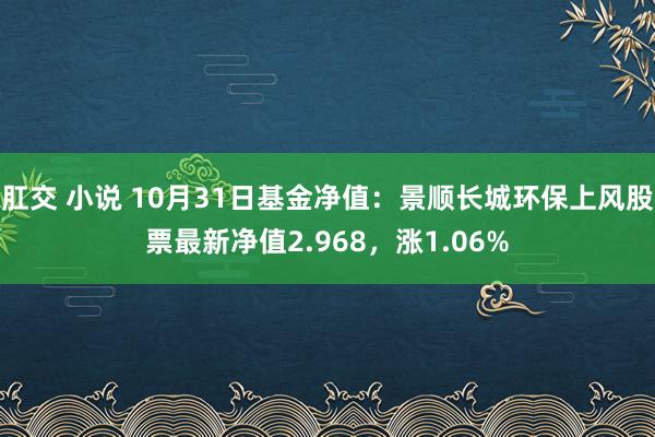 肛交 小说 10月31日基金净值：景顺长城环保上风股票最新净值2.968，涨1.06%