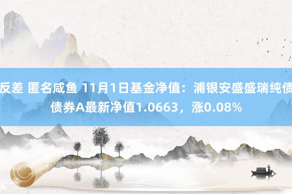 反差 匿名咸鱼 11月1日基金净值：浦银安盛盛瑞纯债债券A最新净值1.0663，涨0.08%