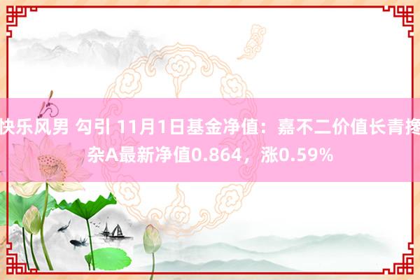 快乐风男 勾引 11月1日基金净值：嘉不二价值长青搀杂A最新净值0.864，涨0.59%