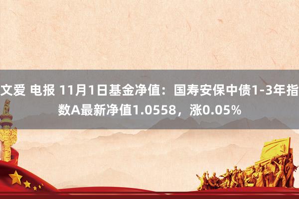 文爱 电报 11月1日基金净值：国寿安保中债1-3年指数A最新净值1.0558，涨0.05%