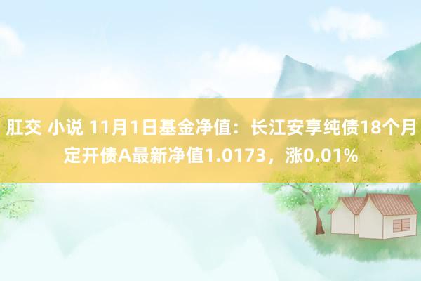 肛交 小说 11月1日基金净值：长江安享纯债18个月定开债A最新净值1.0173，涨0.01%