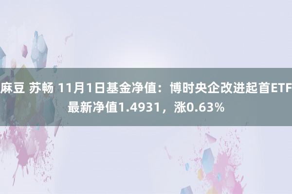 麻豆 苏畅 11月1日基金净值：博时央企改进起首ETF最新净值1.4931，涨0.63%