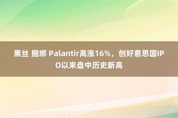 黑丝 捆绑 Palantir高涨16%，创好意思国IPO以来盘中历史新高