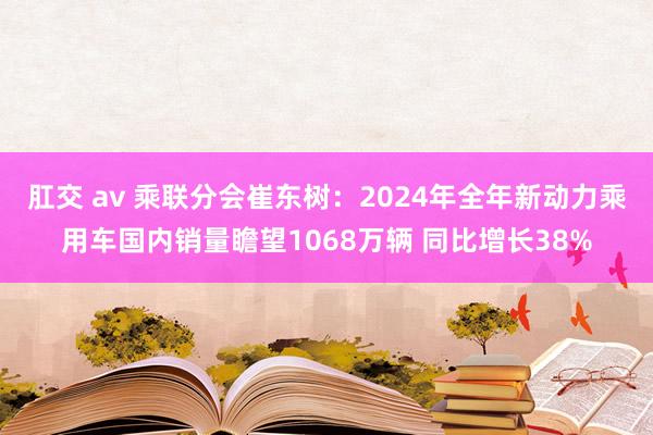 肛交 av 乘联分会崔东树：2024年全年新动力乘用车国内销量瞻望1068万辆 同比增长38%