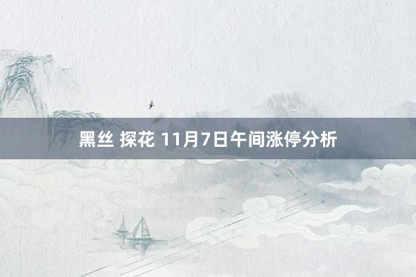 黑丝 探花 11月7日午间涨停分析