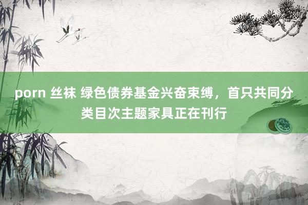 porn 丝袜 绿色债券基金兴奋束缚，首只共同分类目次主题家具正在刊行