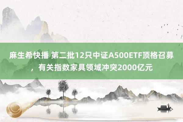 麻生希快播 第二批12只中证A500ETF顶格召募，有关指数家具领域冲突2000亿元