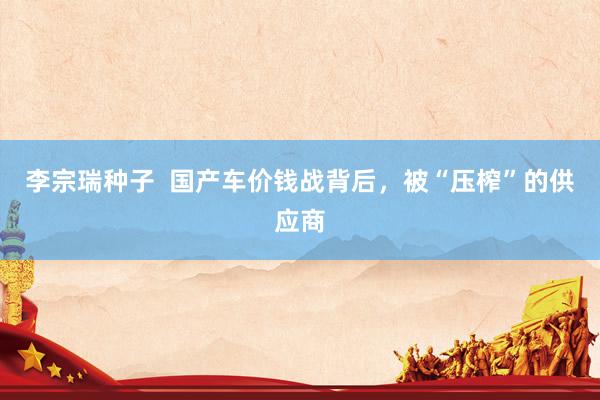 李宗瑞种子  国产车价钱战背后，被“压榨”的供应商