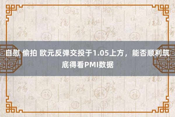 自慰 偷拍 欧元反弹交投于1.05上方，能否顺利筑底得看PMI数据