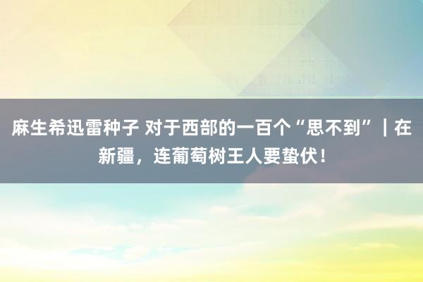 麻生希迅雷种子 对于西部的一百个“思不到”｜在新疆，连葡萄树王人要蛰伏！