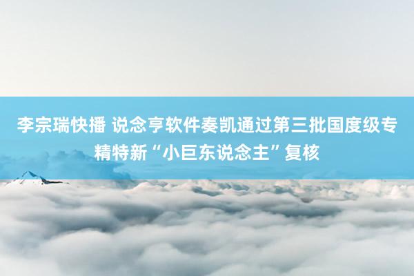 李宗瑞快播 说念亨软件奏凯通过第三批国度级专精特新“小巨东说念主”复核