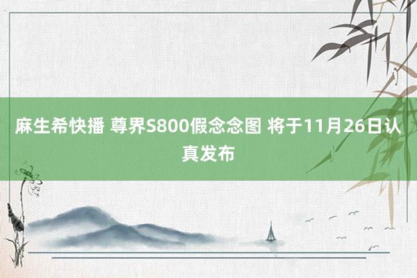 麻生希快播 尊界S800假念念图 将于11月26日认真发布