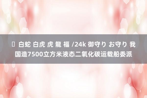 ✨白蛇 白虎 虎 龍 福 /24k 御守り お守り 我国造7500立方米液态二氧化碳运载船委派