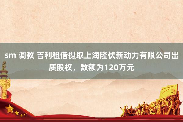 sm 调教 吉利租借摄取上海隆伏新动力有限公司出质股权，数额为120万元